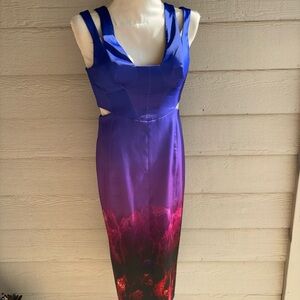 Karen Millen Blue and Purple Midi Dress